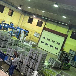 7822956D-AB1C-4AD7-9D41-F88AA3C4CED4