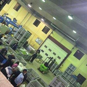 EA3E10E6-ECA7-4B8E-A51B-035D198ADFB4